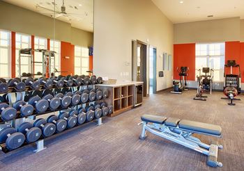 Carpeted fitness center with rack of dumbbells and cardio machines